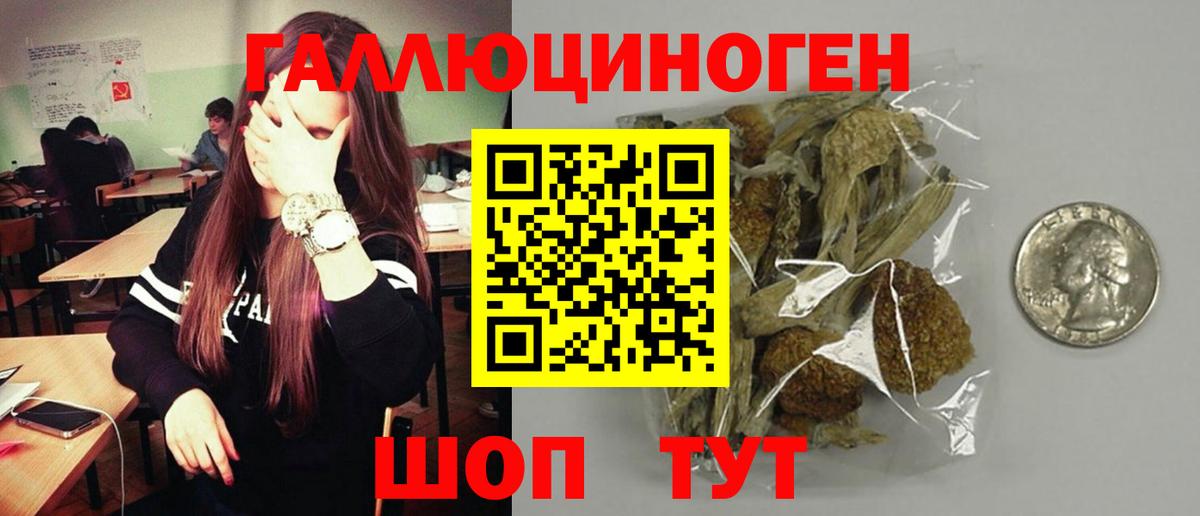 Псилоцибиновые грибы мицелий Нальчик